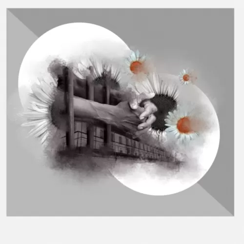 TB Europe Coalition has finalized the #HealthWithoutBorders Campaign